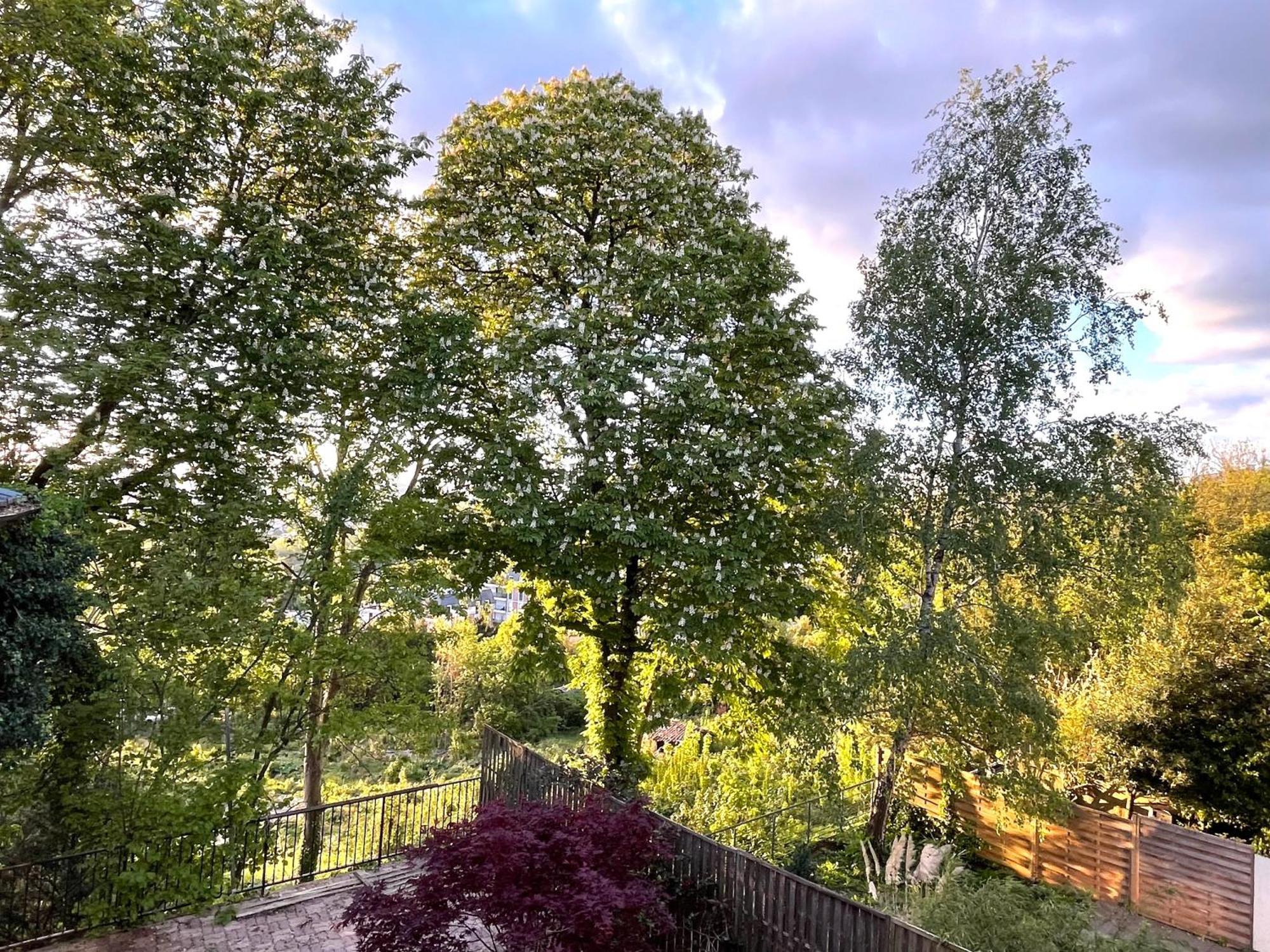 Sara Home Chennevieres-sur-Marne Экстерьер фото